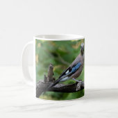 Garrulus glandarius - Eichelhäher Kaffeetasse (Vorderseite Links)