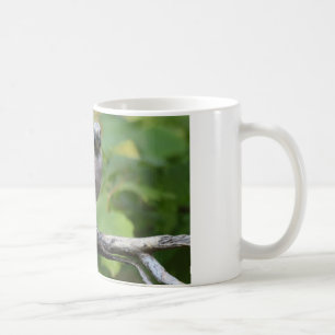 Garrulus glandarius - Eichelhäher Kaffeetasse