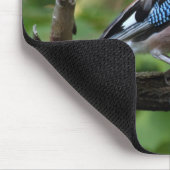 Garrulus glandarius - Eichelhäher Mousepad (Ecke)