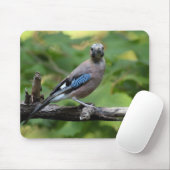 Garrulus glandarius - Eichelhäher Mousepad (Mit Mouse)
