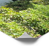 Gartan Mountain Landkreis Donegal Irland Europa Poster (Ecke)