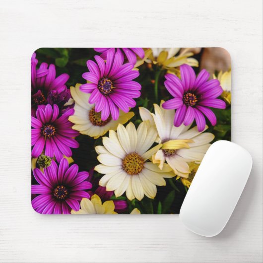 Garten 2 mousepad (Mit Mouse)