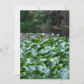 Garten 5 Lotus Beerdigung Ankündigung (Rückseite)