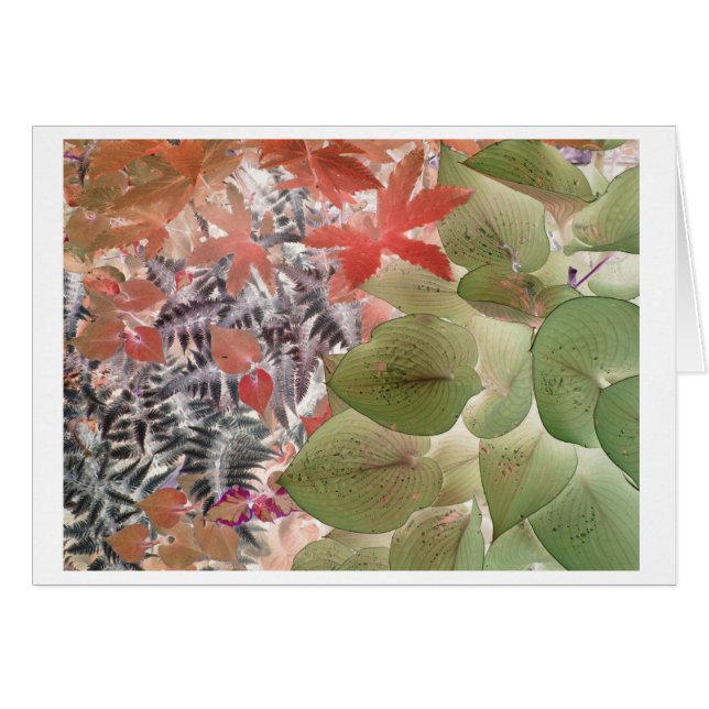 Garten 9 (Vorderseite (Horizontal))