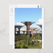 Garten am Golf von Singapur Supertree Grove Postkarte (Vorne/Hinten)