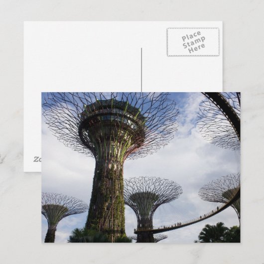 Garten an der Bucht Postkarte (Vorne/Hinten)