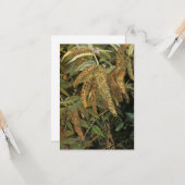 Garten aus dem Fenster (von Lucian Freud) Karte (Vorderseite/Rückseite Beispiel)