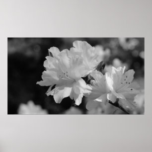 Garten der Blume Poster