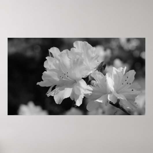 Garten der Blume Poster (Vorne)