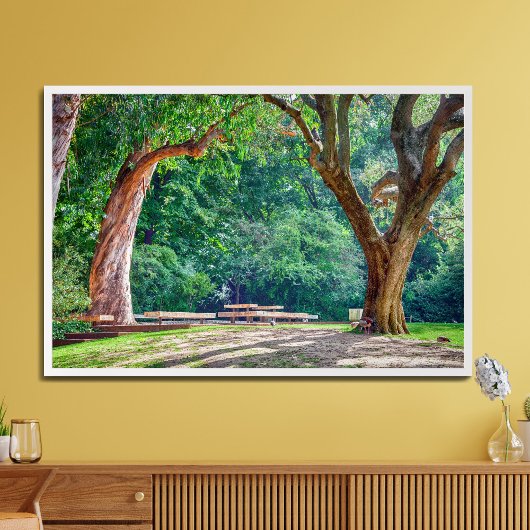 Gärten der Calouste Gulbenkian Stiftung. Fotodruck