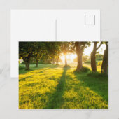 Garten der Eden-Eichenbäume Postkarte (Vorne/Hinten)