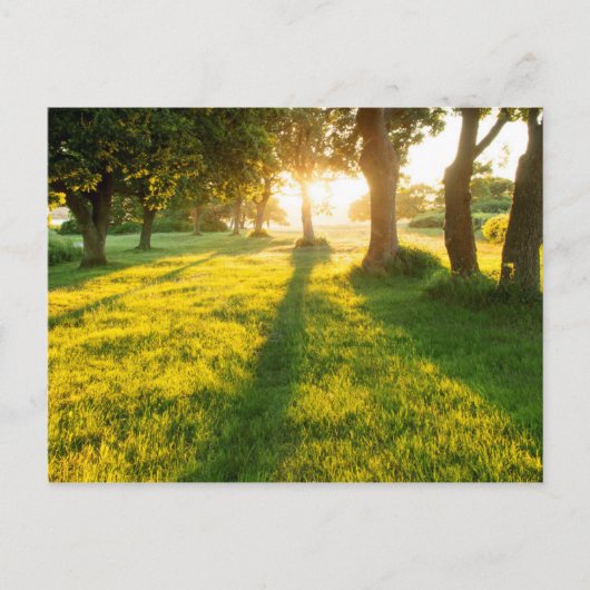 Garten der Eden-Eichenbäume Postkarte (Vorderseite)