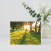 Garten der Eden-Eichenbäume Postkarte (Stehend Vorderseite)