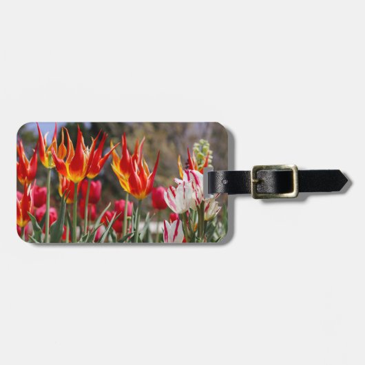 Garten der Flamme Gepäckanhänger (Vorderseite horizontal)