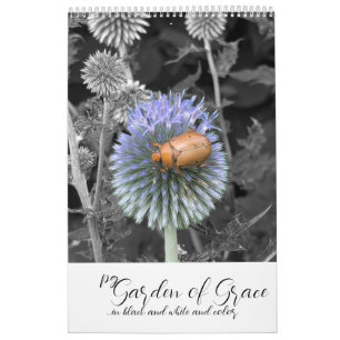 Garten der Gnade: In Schwarz-Weiß und Farbkunst-Ka Kalender