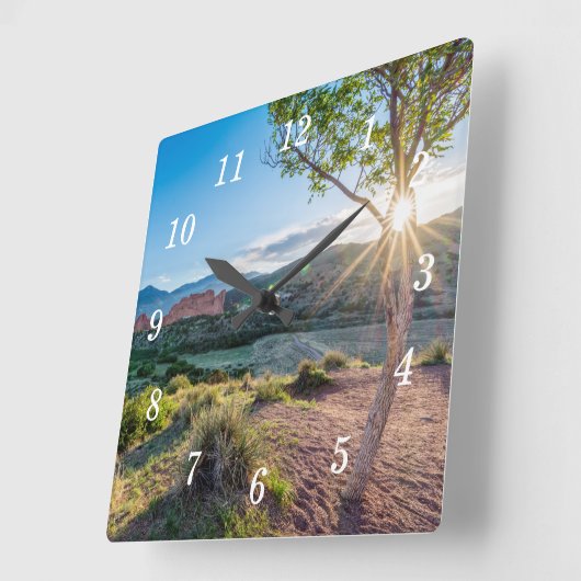 Garten der Götter Baum Sonnenbrunst Wand Uhr (Winkel)