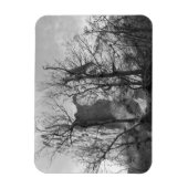 Garten der Götter Colorado Park Foto Magnet (Vertikal)