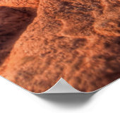 Garten der Götter Poster (Ecke)