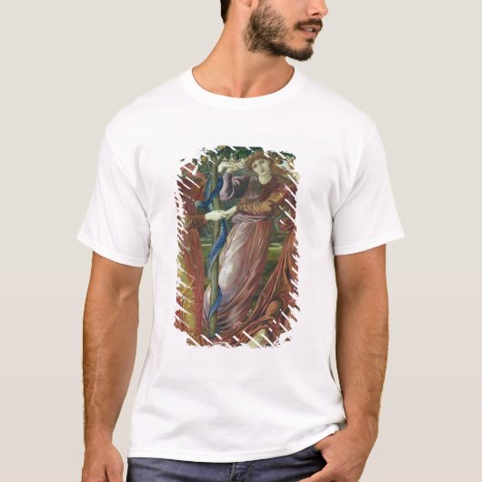 Garten der Hesperides, 1869-73 T-Shirt (Vorderseite)