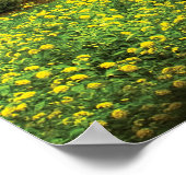 Garten - Der Pool der Hoffnungen Poster (Ecke)