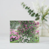 Garten der Rose Postkarte (Stehend Vorderseite)