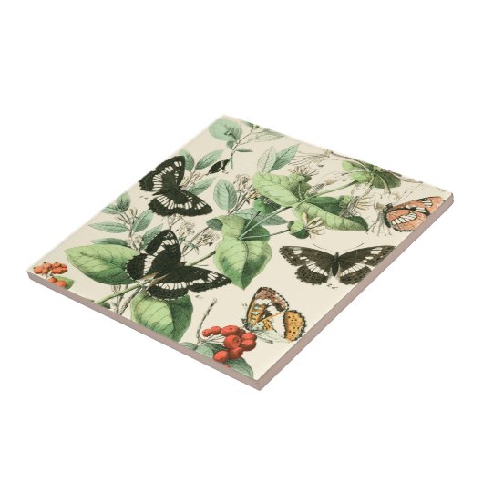 Garten der Schmetterlinge und Blume Fliese (Seite)