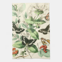 Garten der Schmetterlinge und Blume