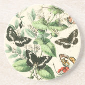 Garten der Schmetterlinge und Blume Getränkeuntersetzer (Vorne)