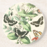 Garten der Schmetterlinge und Blume