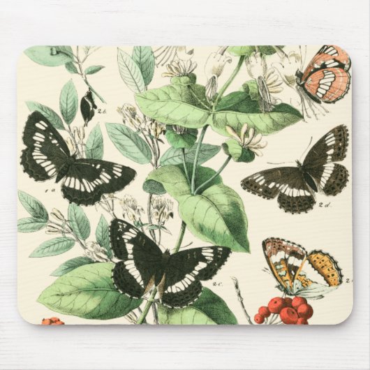 Garten der Schmetterlinge und Blume Mousepad (Vorne)