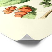 Garten der Schmetterlinge und Blume Poster (Ecke)