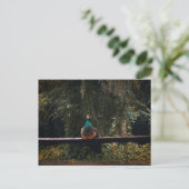 Gärten des alten Florida Postkarte (Stehend Vorderseite)