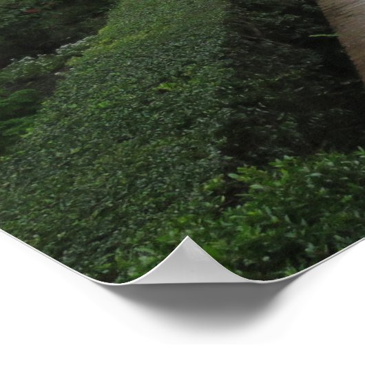 Garten des Generalife, Alhambra, Spanien - Poster (Ecke)