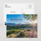 Garten des Götter Baum Sunburst gut Postkarte (Vorne/Hinten)