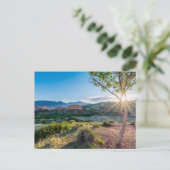 Garten des Gottes Tree Sunburst Postkarte (Stehend Vorderseite)
