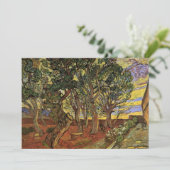 Garten des Heiligen-Paul-Krankenhauses von Vincent (Stehend Vorderseite)