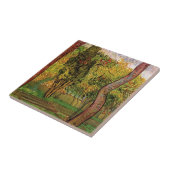 Garten des Heiligen-Paul-Krankenhauses von Vincent Fliese (Seite)