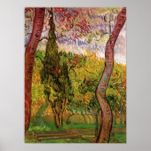 Garten des Heiligen-Paul-Krankenhauses von Vincent Poster (Vorne)