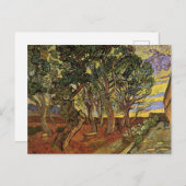 Garten des Heiligen-Paul-Krankenhauses von Vincent Postkarte (Vorne/Hinten)