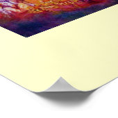 GARTEN DES VERLORENEN SCHADOWS POSTER (Ecke)