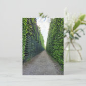 Gärten des Versailles Foto Grüße Karte (Stehend Vorderseite)