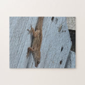 Garten-Echsen-Puzzle Puzzle (Horizontal)