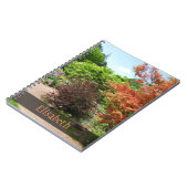 Garten-Foto-üppiger Frühlings-Park-Weg irgendein Notizblock (Linke Seite)