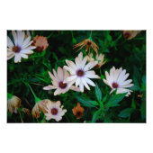 Garten Fotodruck (Vorne)