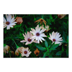 Garten Fotodruck
