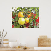 Garten Frische Heirloom Tomaten Poster (Küche)