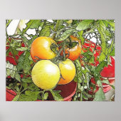 Garten Frische Heirloom Tomaten Poster (Vorne)