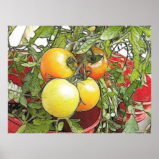 Garten Frische Heirloom Tomaten Poster (Vorne)