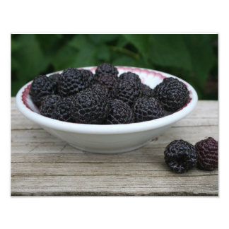 Garten Frische schwarze Himbeeren in Bowl Fotodruck