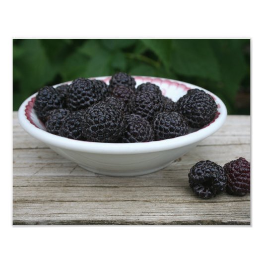 Garten Frische schwarze Himbeeren in Bowl Fotodruck (Vorne)